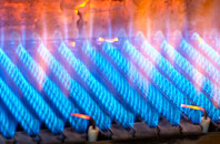 Scronkey gas fired boilers